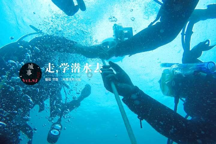 家里有这种虫子