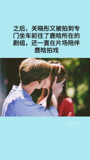 救援猫与武士