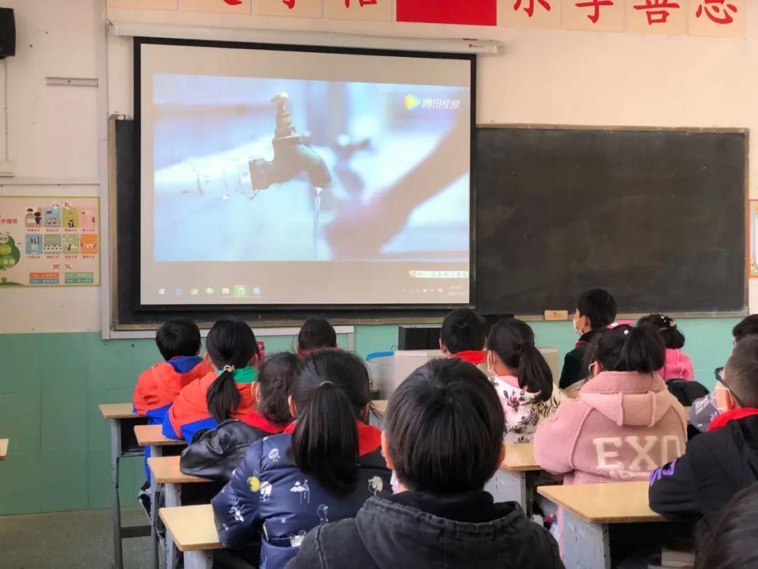 白孔雀救援