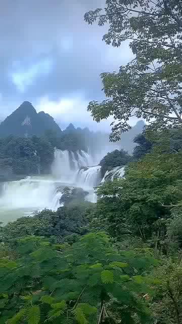 would的英语怎么说