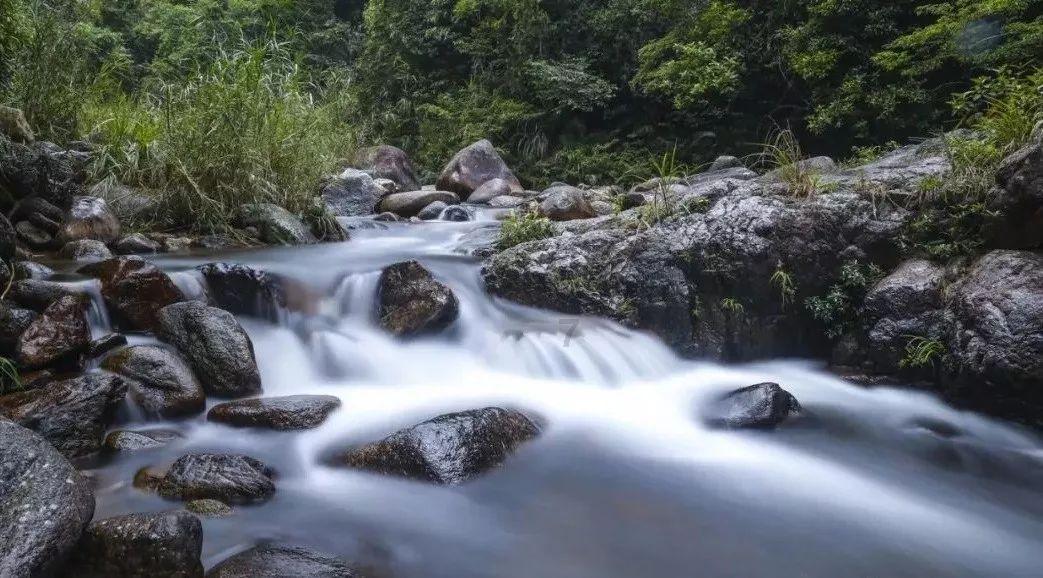 只要呆在笼子里面，就可以年薪千万，为何至今无人挑战成功？游戏画面