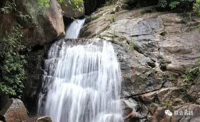 龙虎山道教学院分数线游戏画面