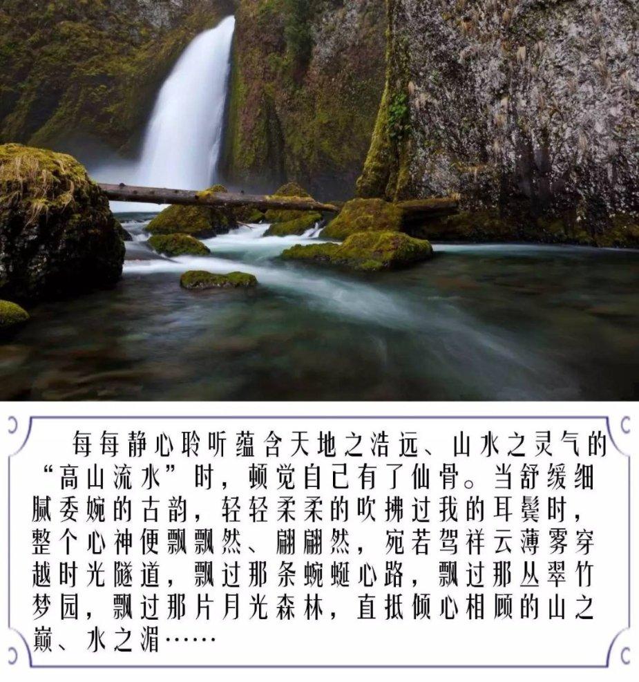 让动物飞一会