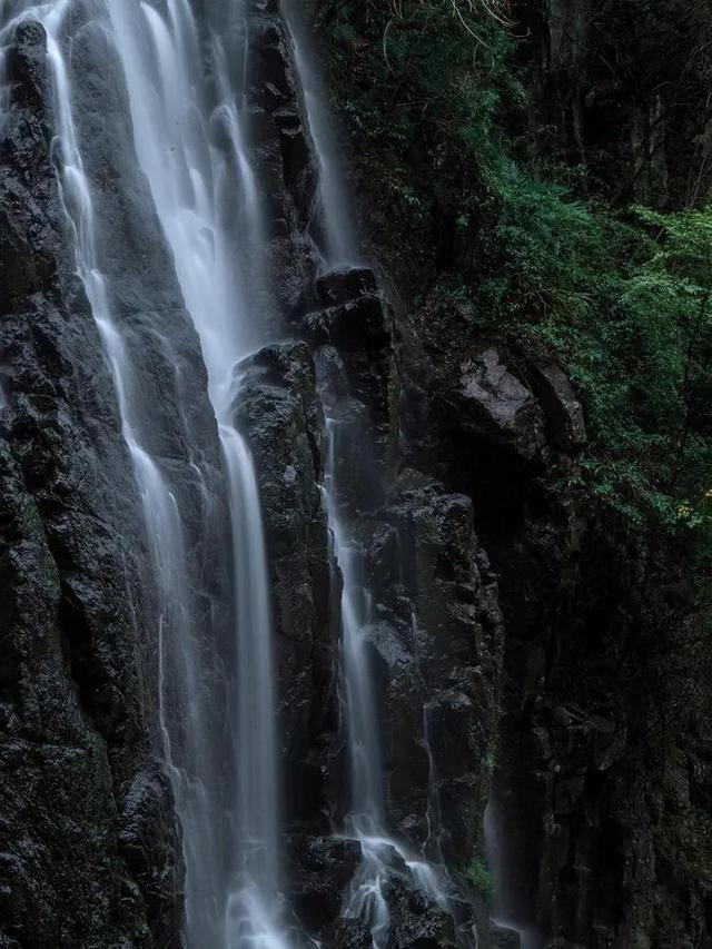 龙魂时刻